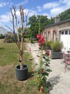 0fd123c0-9f9a-4561-a0a6-73abfdcb2390