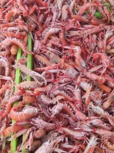 thumbnail_2829afec-9eec-435a-bb9b-d3329941cffb