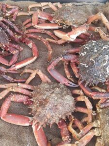 thumbnail_36c52d3b-5266-4911-a005-f75a1e1bac23